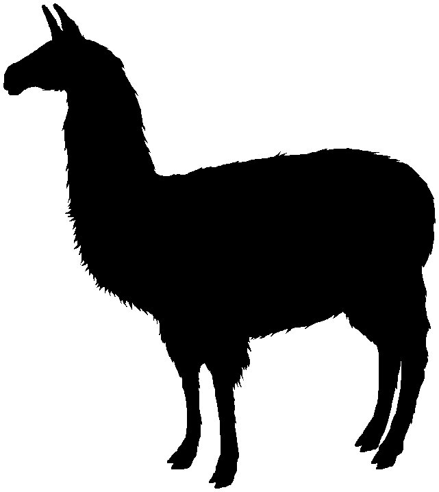 Llama.jpg